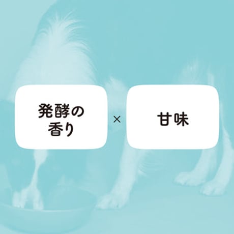 COZY MILK  フレッシュ甘酒 350g