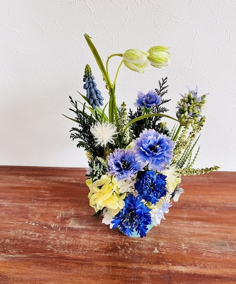 【Cornflower / コーンフラワー】　カナリア　オーシャン