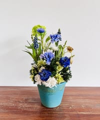 【Cornflower / ヤグルマソウ】　МL　オーシャン