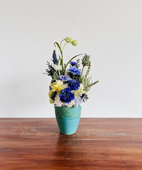 【Cornflower / コーンフラワー】　カナリア　オーシャン