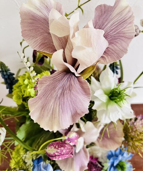 【 Iris / アイリス 】　 Look from all angles