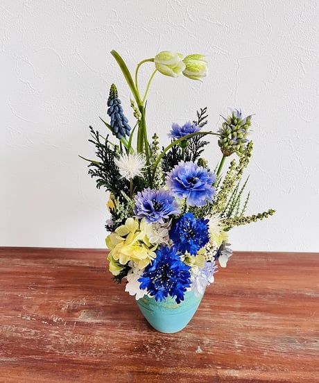 【Cornflower / コーンフラワー】　カナリア　オーシャン