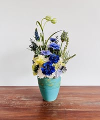 【Cornflower / コーンフラワー】　カナリア　オーシャン