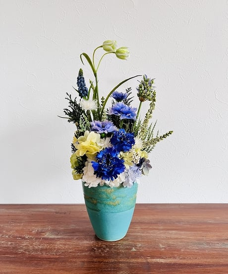 【Cornflower / コーンフラワー】　カナリア　オーシャン