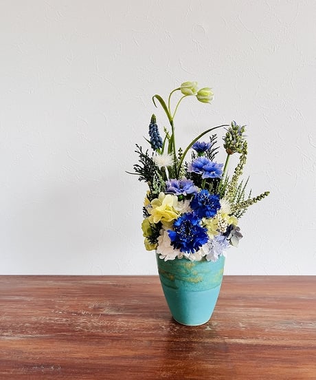 【Cornflower / コーンフラワー】　カナリア　オーシャン