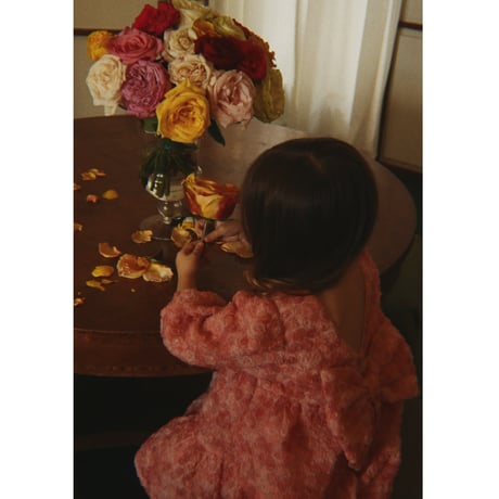 KONGESSLOEJD - ALLY LS FLOWER DRESS  |  VEILED ROSE
