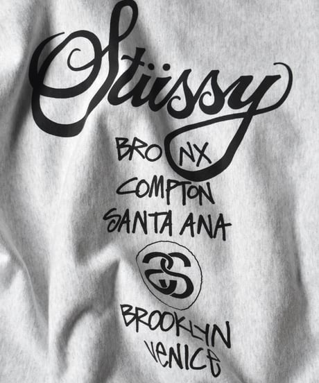 Stussy Would Tour Hoodie