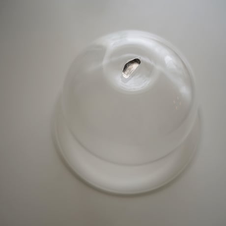 platina nut bowl／ワダコーヘー