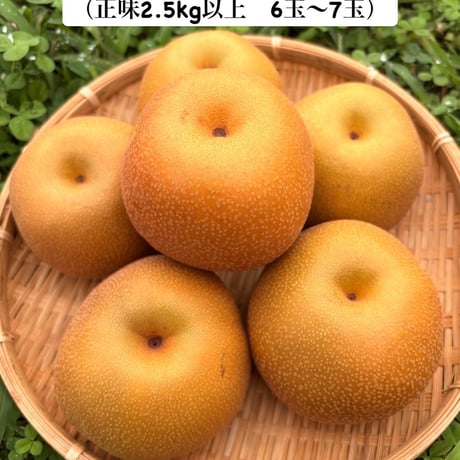 【豊水（和梨）】ご自宅用・梨箱（正味2.5kg以上　6〜7玉）