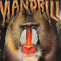 Mandrill / S.T. (LP)