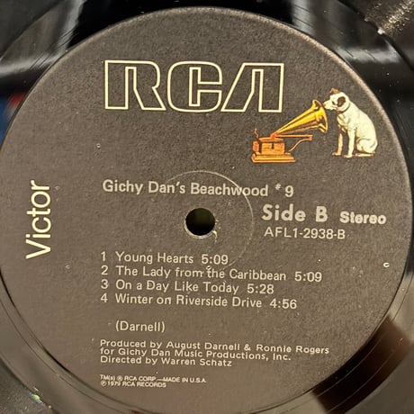 Gichy Dan's Beach Wood #9 / S.T. (LP)