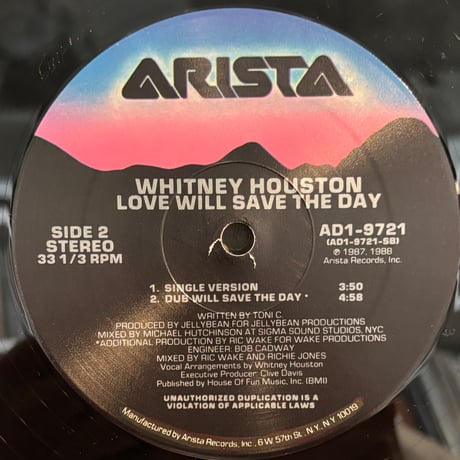 Whitney Houston / Love Will Save The Day (12")