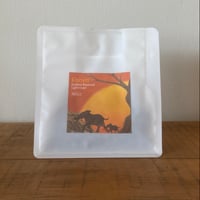 Kenya Gatina Washed  (浅煎り)