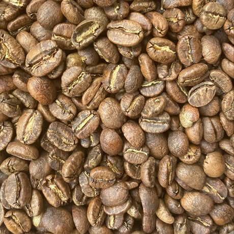 Kenya Gatina Washed  (浅煎り)