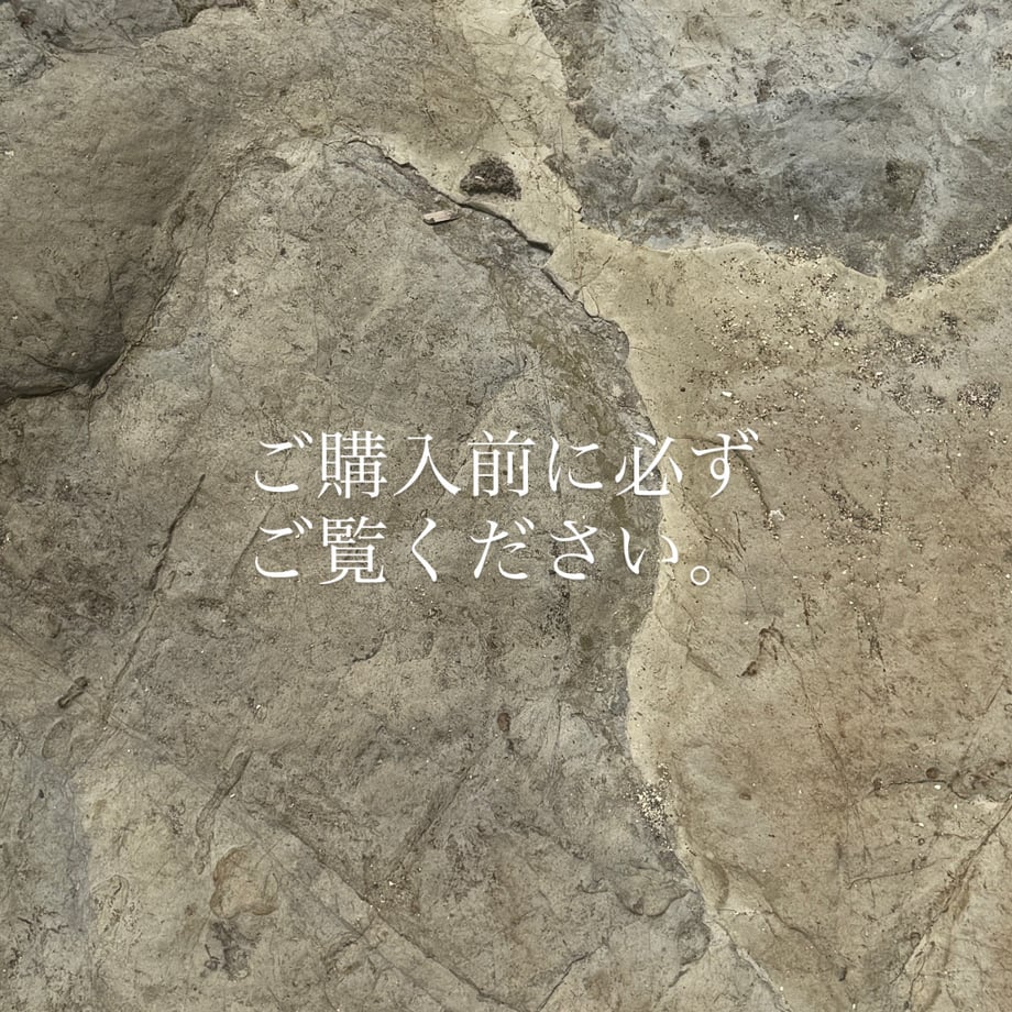 6a9185c5577d50e255770ef2