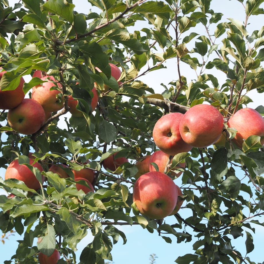 6709054eccd49a135edd9e7b