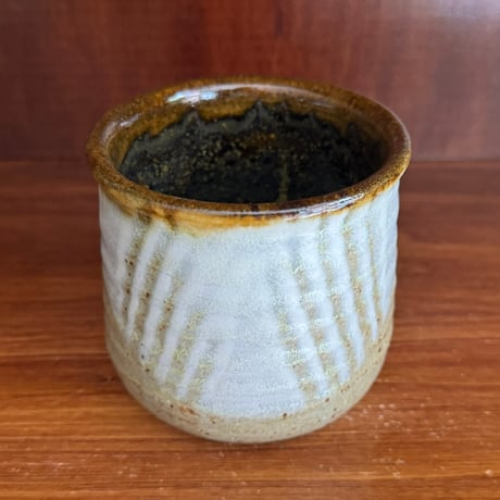セレン のあ　粋歳カップ セ25B