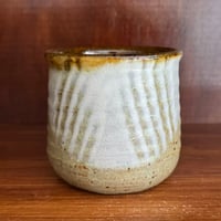 セレン のあ　粋歳カップ セ25B