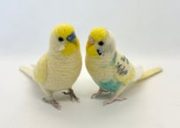 お客様専用リアルサイズセキセイインコ×2