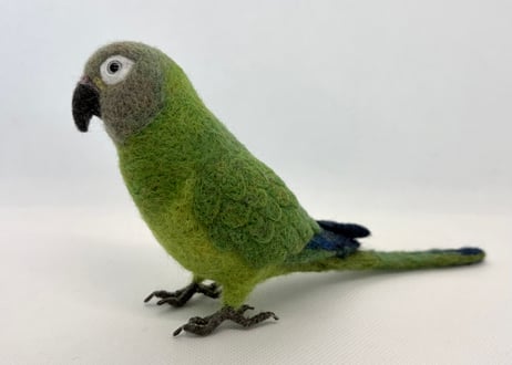 お客様専用約1/2サイズシロハラインコ&シモフリインコ