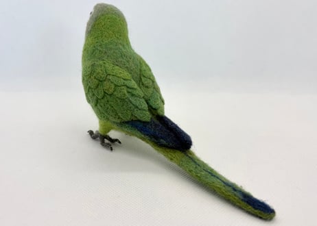 お客様専用約1/2サイズシロハラインコ&シモフリインコ