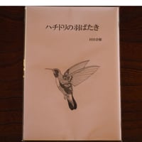 ハチドリの羽ばたき
