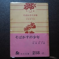 そばかすの少年
