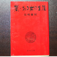 嵐・ある女の生涯