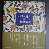 うつむく青年　詩集