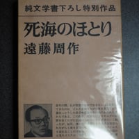 死海のほとり