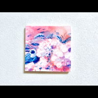 蒼と桃の紫陽花