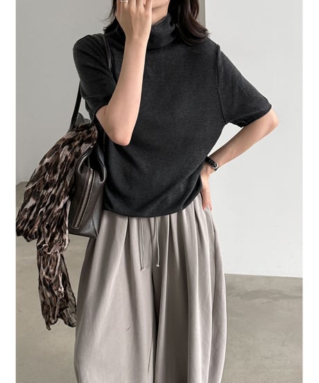 short-sleeve turtleneck top / 4color　hm3263