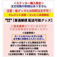 ＜Summer Goods②＞！他グッズ同時注文不可！決済方法限定【普通郵便配送可能グッズ（ページ内ステッカー注文のみ）】特別郵送料