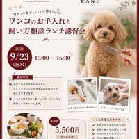 ワンコのお手入れと飼い方相談ランチ講習会