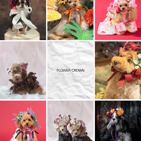 FOR DOG 花冠WORKSHOP　ご予約ページ