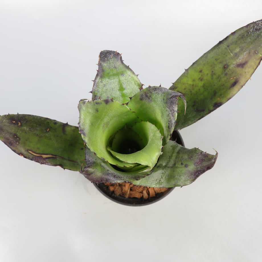 6a63198bd356f7e84112f5b5