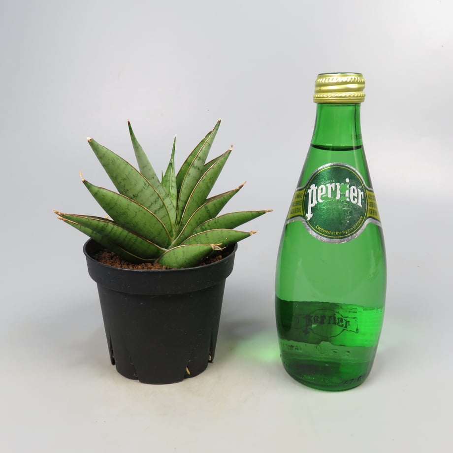 6a51f417248f8cf98d51709e