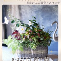 【FOUR SEASONSスクール】8/22(土)Green life Zoom webinars ワークショップ　無料視聴+花材セット