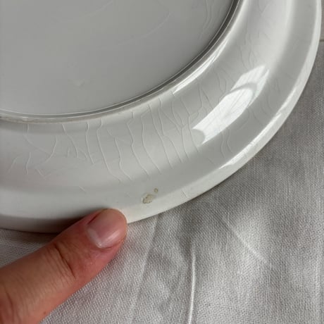 ▲1960's ARABIA Finland Hand Paint Plate❶