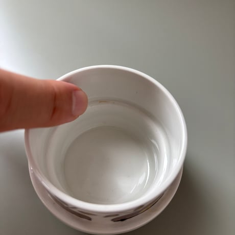 1969年 ARABIA Finland Goran Back Hand Paint cup&saucer❶