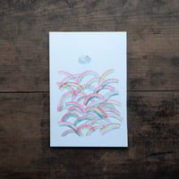 安福望｜21  ※本商品の送料は着払となります※