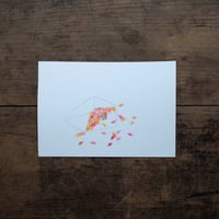 安福望｜05  ※本商品の送料は着払となります※