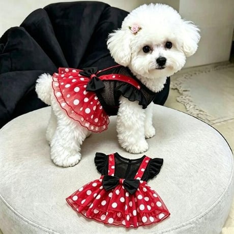 犬の服 | STORES