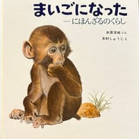 まいごになった ―にほんざるのくらし