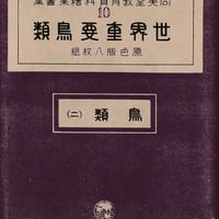 絵葉書 世界重要鳥類 鳥類(2)