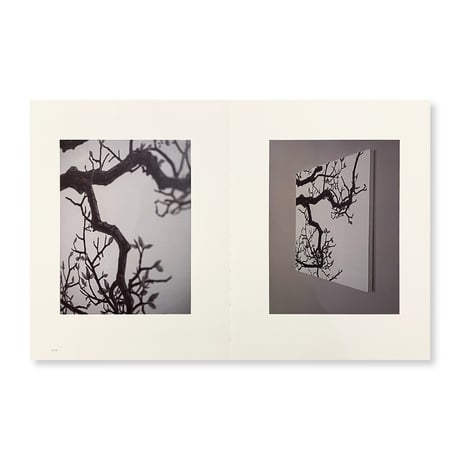 日高理恵子 / 空間と、自然光と、絵と、