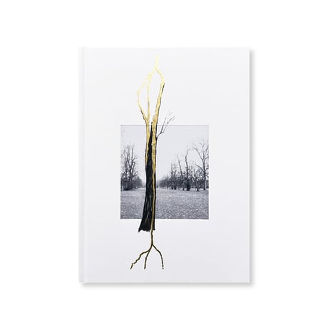 Giuseppe Penone / Thoughts in the Roots