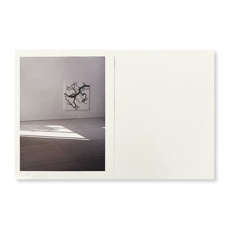 日高理恵子 / 空間と、自然光と、絵と、