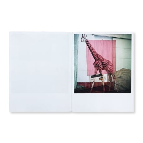 【SIGNED】Jason Fulford / Frozen Features