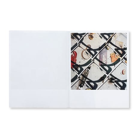 【SIGNED】Jason Fulford / Frozen Features
